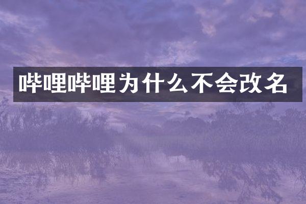 哔哩哔哩为什么不会改名