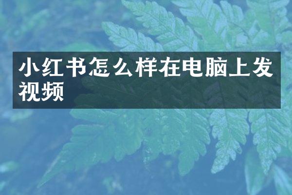 小红书怎么样在电脑上发视频
