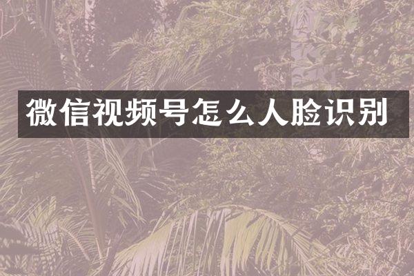 微信视频号怎么人脸识别