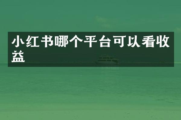 小红书哪个平台可以看收益