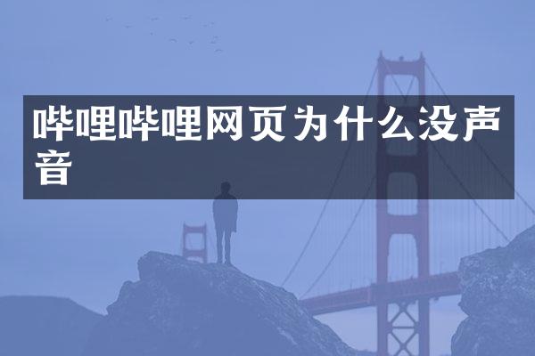 哔哩哔哩网页为什么没声音