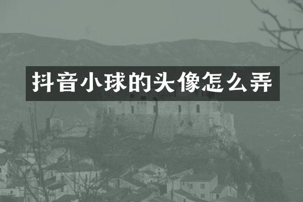抖音小球的头像怎么弄