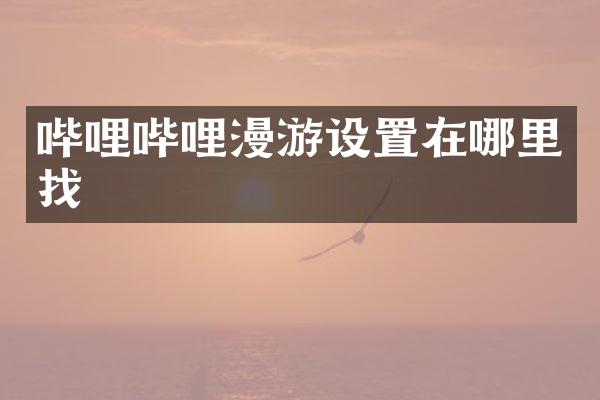 哔哩哔哩漫游设置在哪里找
