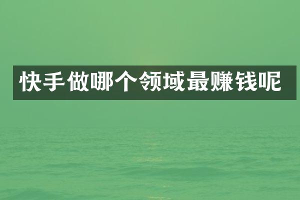 快手做哪个领域最赚钱呢