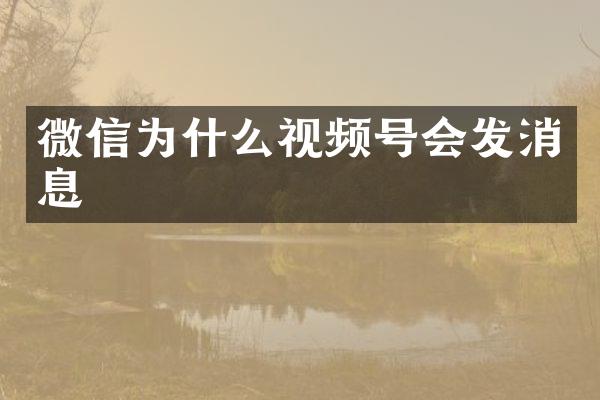 微信为什么视频号会发消息