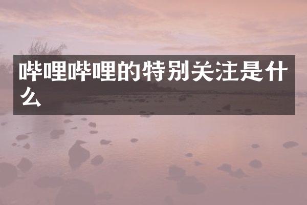 哔哩哔哩的特别关注是什么