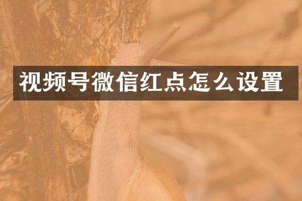视频号微信红点怎么设置