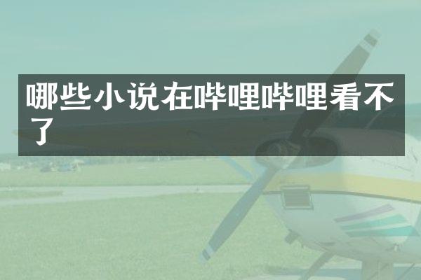 哪些小说在哔哩哔哩看不了