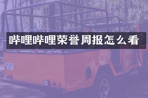 哔哩哔哩荣誉周报怎么看