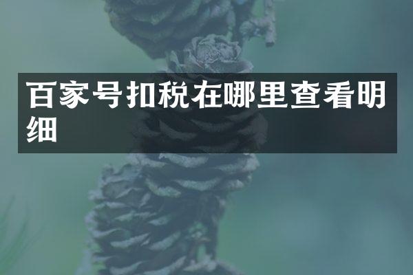 百家号扣税在哪里查看明细