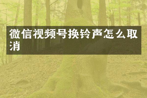 微信视频号换铃声怎么取消