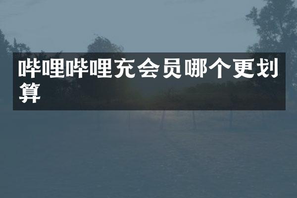 哔哩哔哩充会员哪个更划算
