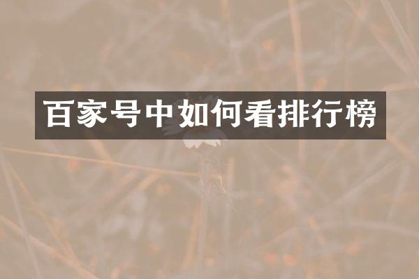 百家号中如何看排行榜
