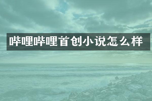 哔哩哔哩首创小说怎么样