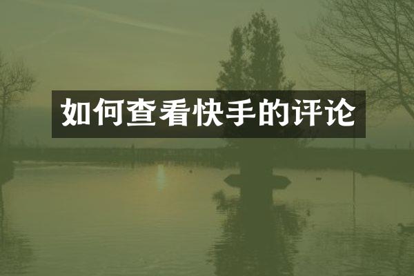 如何查看快手的评论