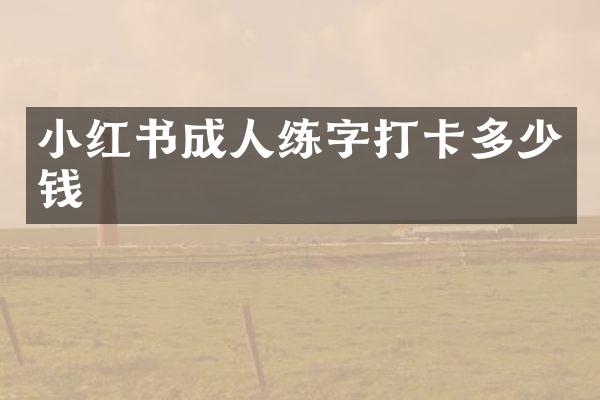 小红书成人练字打卡多少钱