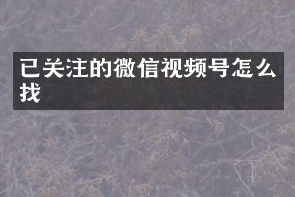 已关注的微信视频号怎么找