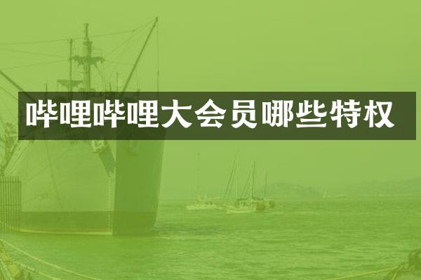 哔哩哔哩大会员哪些特权