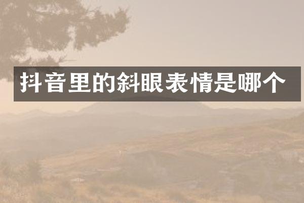 抖音里的斜眼表情是哪个