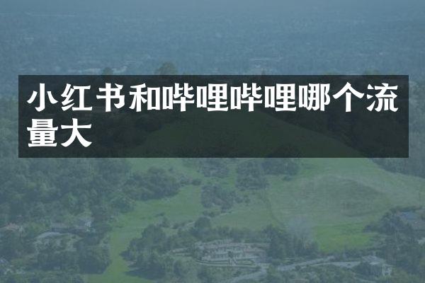 小红书和哔哩哔哩哪个流量大