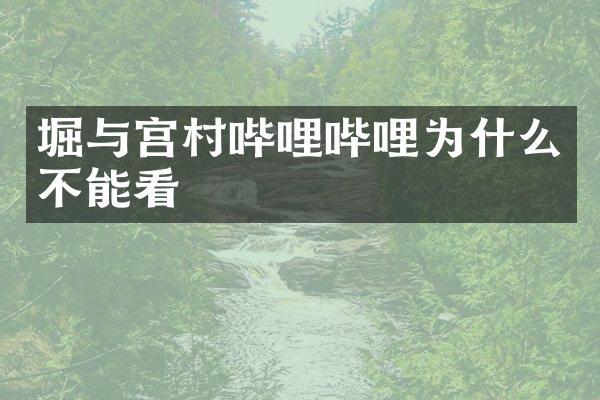 堀与宫村哔哩哔哩为什么不能看
