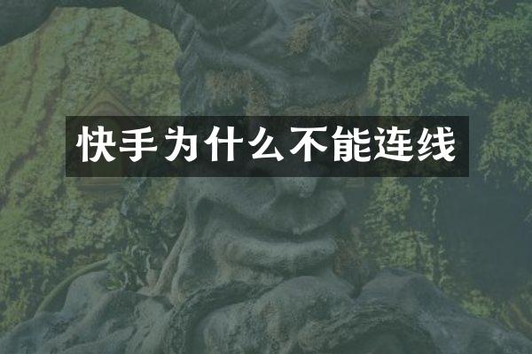 快手为什么不能连线