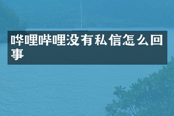 哗哩哔哩没有私信怎么回事