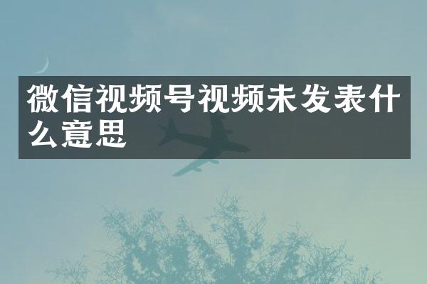 微信视频号视频未发表什么意思