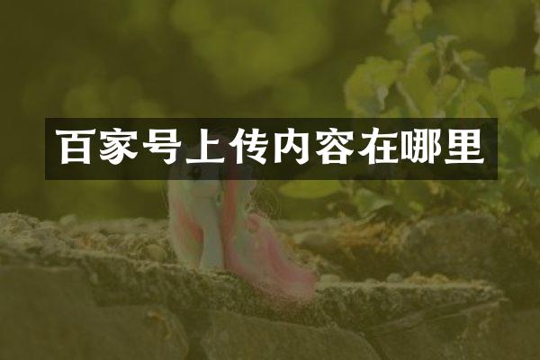 百家号上传内容在哪里