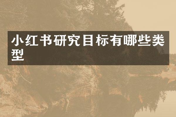 小红书研究目标有哪些类型