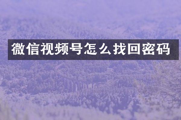 微信视频号怎么找回密码