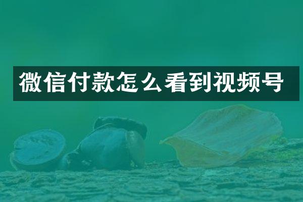 微信付款怎么看到视频号
