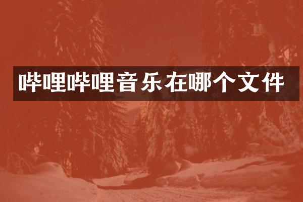 哔哩哔哩音乐在哪个文件