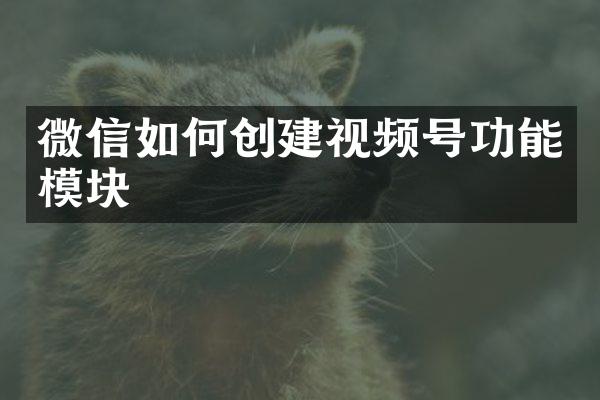 微信如何创建视频号功能模块