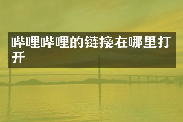 哔哩哔哩的链接在哪里打开