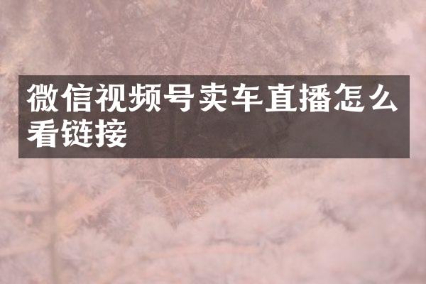 微信视频号卖车直播怎么看链接