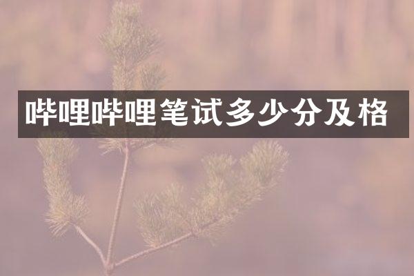 哔哩哔哩笔试多少分及格