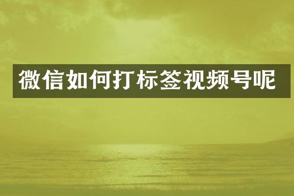 微信如何打标签视频号呢