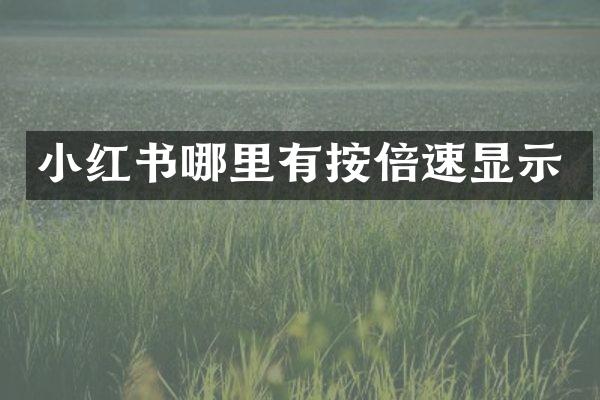 小红书哪里有按倍速显示