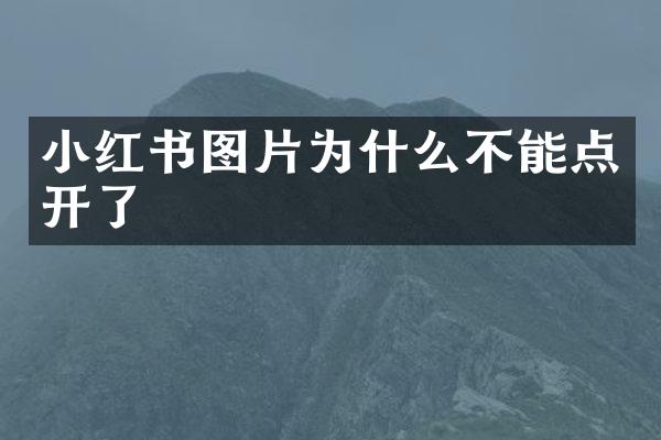 小红书图片为什么不能点开了