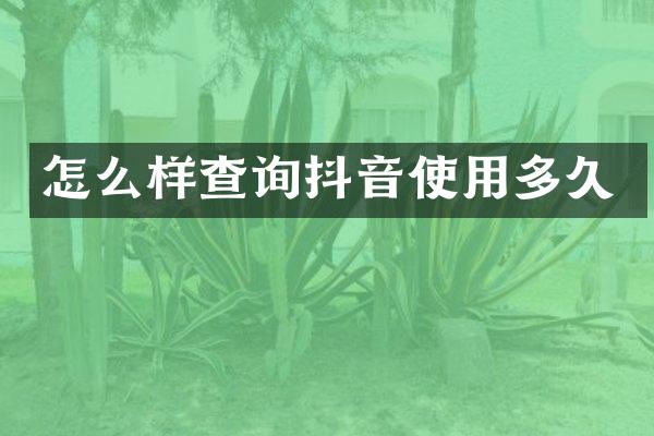 怎么样查询抖音使用多久