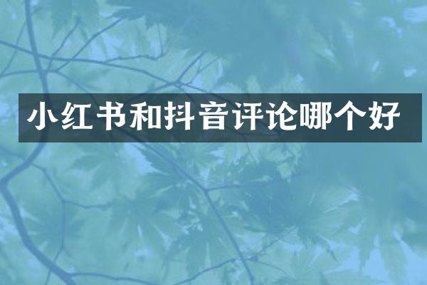 小红书和抖音评论哪个好