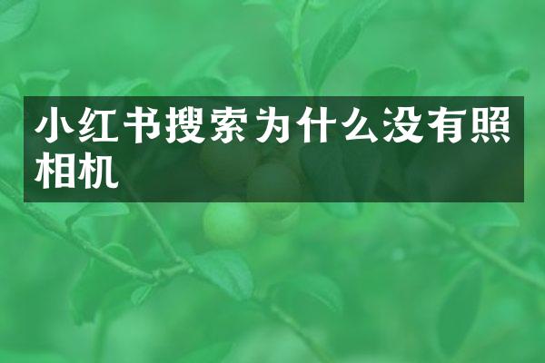 小红书搜索为什么没有照相机