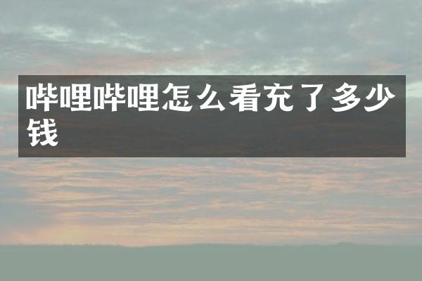 哔哩哔哩怎么看充了多少钱