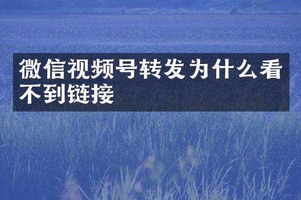 微信视频号转发为什么看不到链接