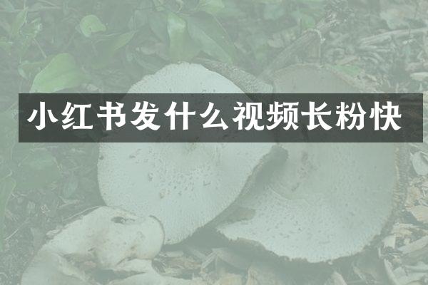 小红书发什么视频长粉快