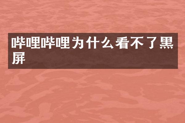 哔哩哔哩为什么看不了黑屏