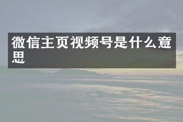 微信主页视频号是什么意思