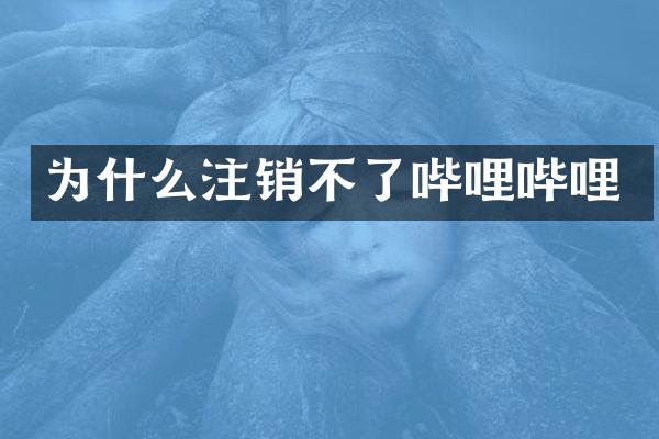 为什么注销不了哔哩哔哩