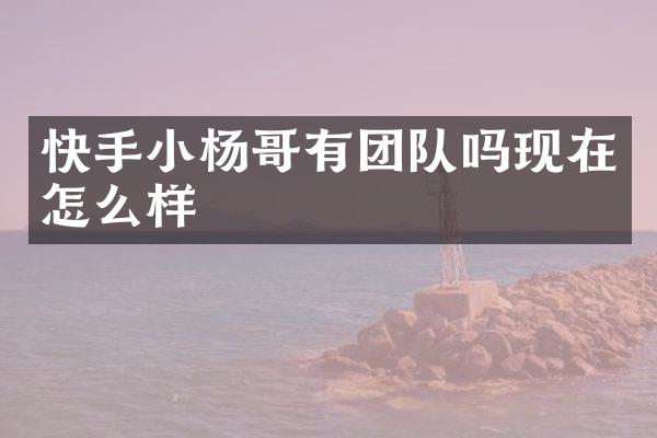 快手小杨哥有团队吗现在怎么样